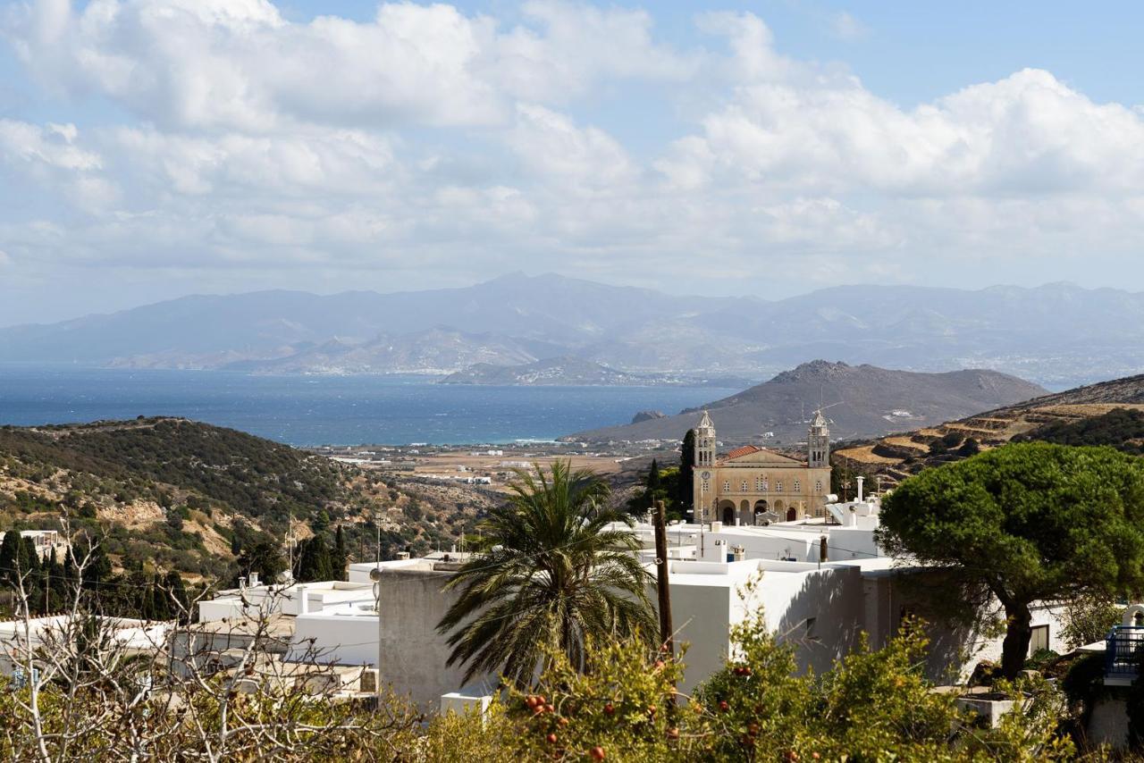The Olive Mill Guest House Lefkes  Exterior foto